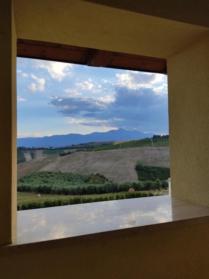 Agriturismo Terra Dei Falchi Castilenti Екстериор снимка