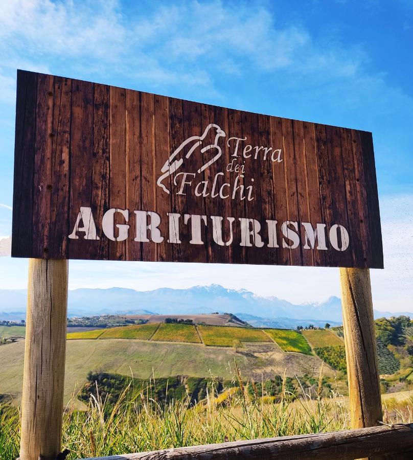 Agriturismo Terra Dei Falchi Castilenti Екстериор снимка