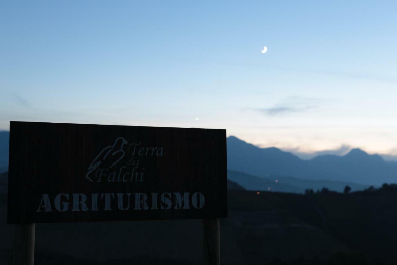 Agriturismo Terra Dei Falchi Castilenti Екстериор снимка